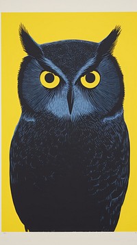 Owl animal yellow black.