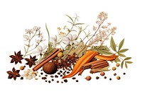 Spiced herbs plant food.