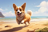 Corgi walked beach outdoors mammal.