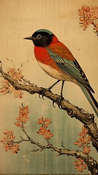 Illustration of bird painting animal robin.