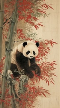 PNG Illustration of panda wildlife animal mammal.