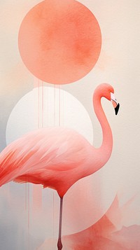 Flamingo animal bird creativity.