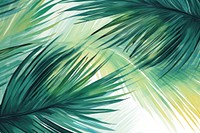 Palm leaves backgrounds abstract outdoors.