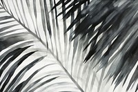 Palm leaves backgrounds abstract nature.