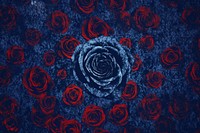 Silkscreen blue rose pattern backgrounds textured abstract.