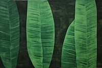 Silkscreen banana leaf pattern backgrounds textured nature.