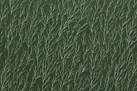 Pine needles repeated pattern green backgrounds textured.