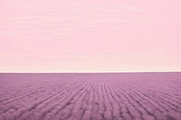 Lavender field backgrounds outdoors horizon.
