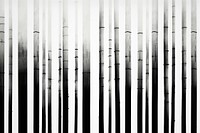 Bamboo stems backgrounds abstract pattern.