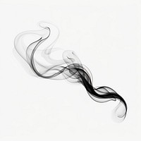 Abstract smoke of basil backgrounds black white background.