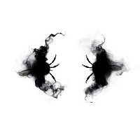 Abstract smoke of bumblebee silhouette spider black.