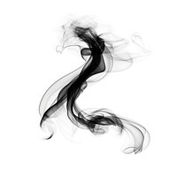 Abstract smoke of fish black white white background.