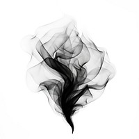 Abstract smoke of lotus black white white background.