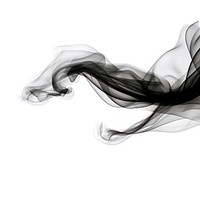 Abstract smoke of wasp black white white background.