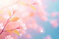Neon nature background backgrounds outdoors blossom.