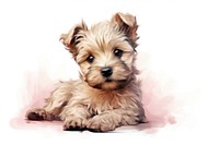 Cute dog terrier mammal animal.