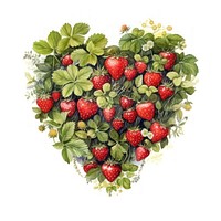 Heart watercolor stawberry bush strawberry fruit plant.
