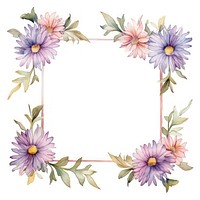 Aster border watercolor pattern flower plant.