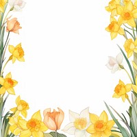 Daffodil border watercolor flower plant inflorescence.