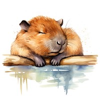 Watercolor capybara sleeping animal wildlife cartoon.