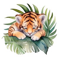 Watercolor baby tiger sleeping animal wildlife cartoon.