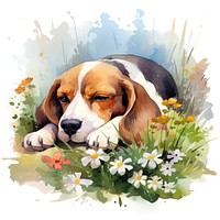 Watercolor beagle sleeping animal flower cartoon.