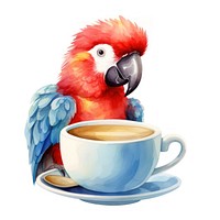 Watercolor macaw pop teacup cartoon parrot coffee.