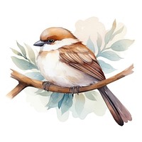 Watercolor sparrow sleeping animal branch bird.