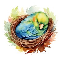Watercolor parrot sleeping painting cartoon animal.