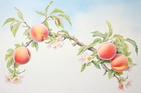 Painting of peach border plant fruit freshness.