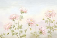 Painting of vintage pink chrysanthemum blooms border backgrounds blossom pattern.