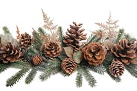 Christmas decoration plant tree fir.