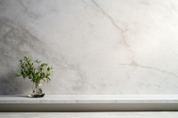 Aesthetic marble wall architecture plant.