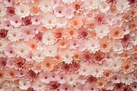 Flower wall texture backgrounds pattern nature.