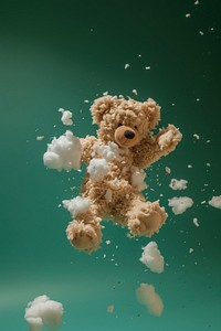 Photo of teddy bear torn toy underwater undersea.