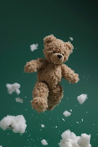 Photo of teddy bear torn toy representation softness.