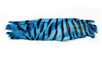 Bengal strip animal mammal blue.