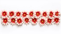Daisy pattern adhesive strip flower petal plant.