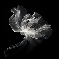 Abstract smoke of chrysanthemum white creativity monochrome.