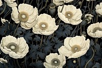 Opium field backgrounds pattern flower.