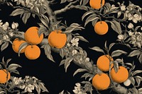 Oranges tree backgrounds grapefruit monochrome.