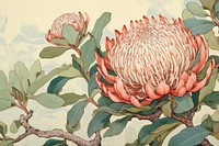 Protea flower blooms art plant creativity.