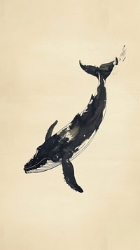 Ink painting minimal of whale animal mammal underwater.