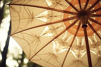 Umbrella backgrounds protection sunshade.