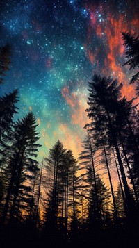 Sky and forest landscape astronomy outdoors.