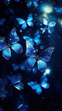 Blue butterfly photo animal invertebrate fragility.