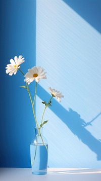 Daisy flower plant vase.
