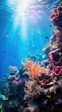 Sea underwater outdoors nature.