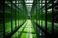 Green architecture greenhouse outdoors.