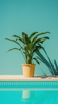 Plant outdoors hotel leaf.